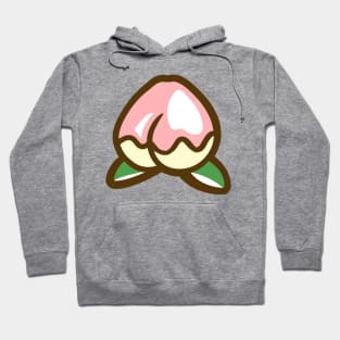 Peach Crossing Hoodie